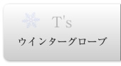 �E�C���^�[�O���[�u