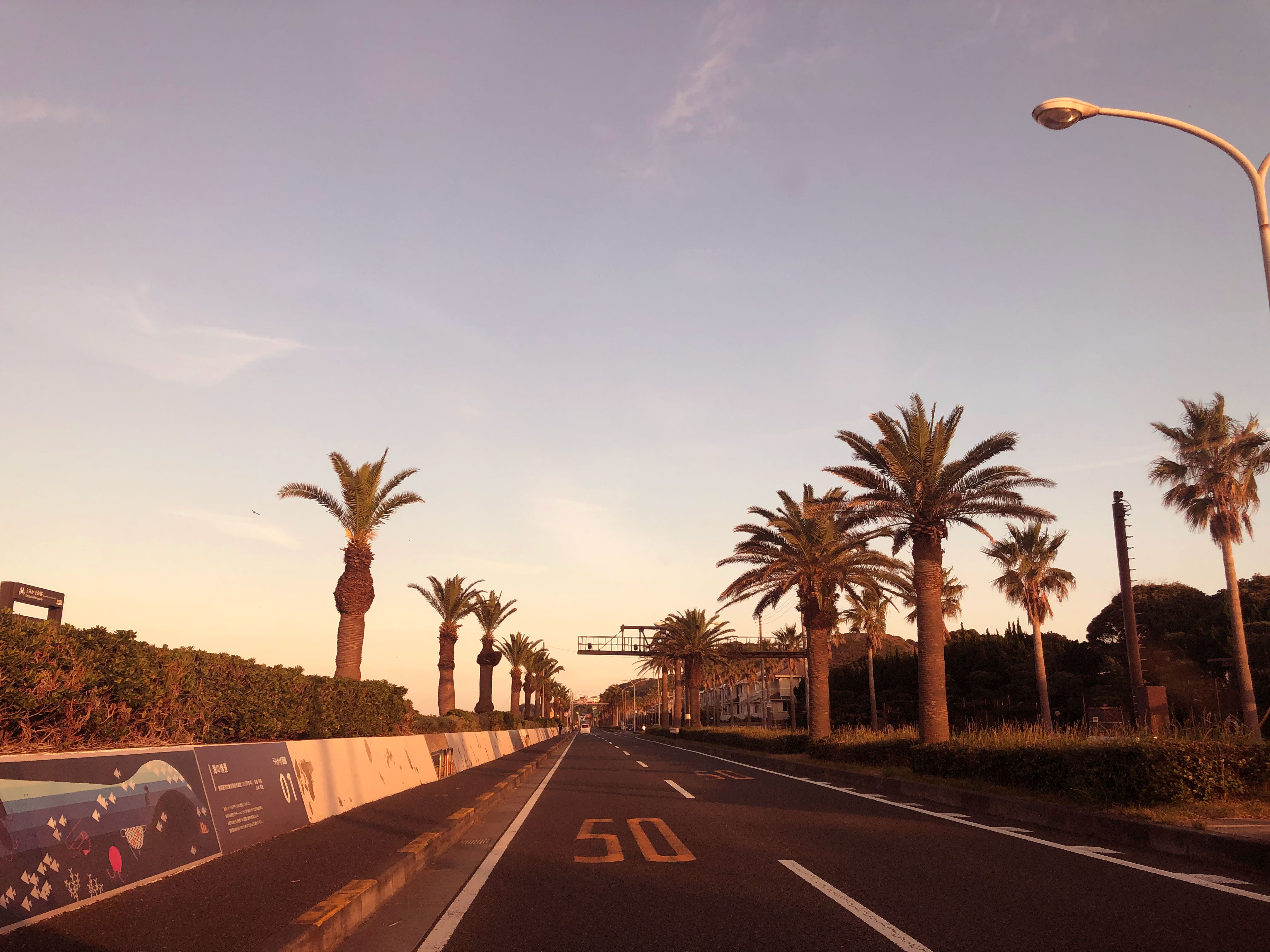 チタンゴールド