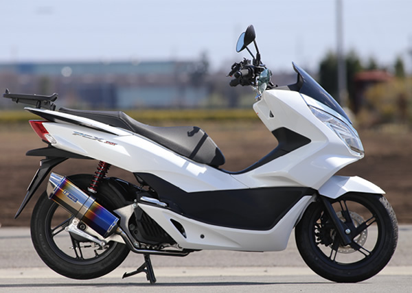 pcx125 ESP アールズギア-